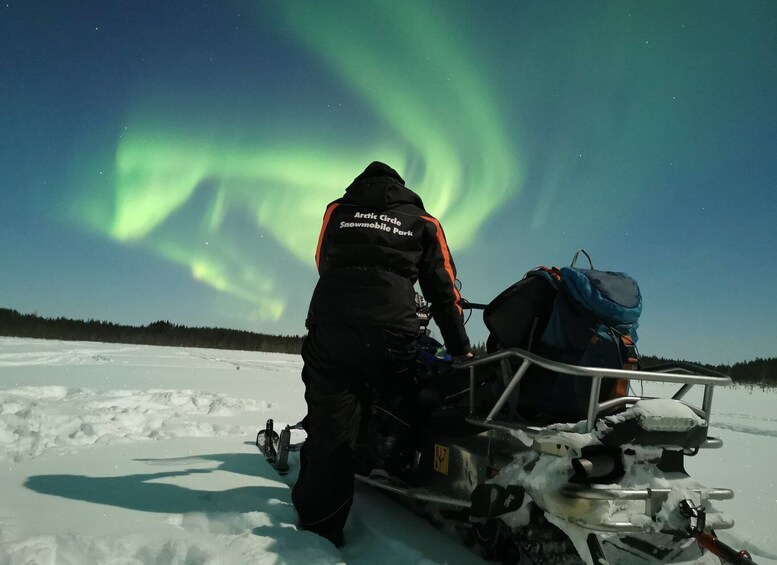 Picture 12 for Activity Rovaniemi: Northern Lights Sledge Ride