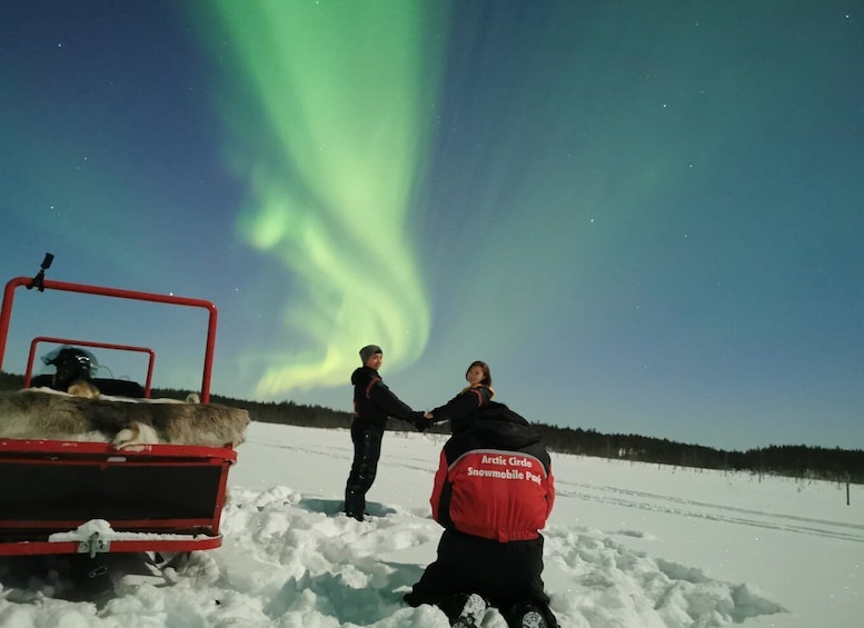 Picture 7 for Activity Rovaniemi: Northern Lights Sledge Ride