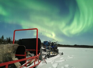 Rovaniemi : balade en luge aux aurores boréales