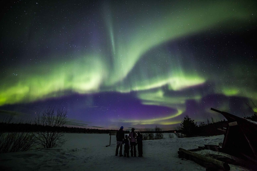 Picture 3 for Activity Rovaniemi: Northern Lights Sledge Ride