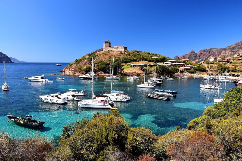 Picture 1 for Activity Porto: Scandola and Calanches of Piana Boat Trip