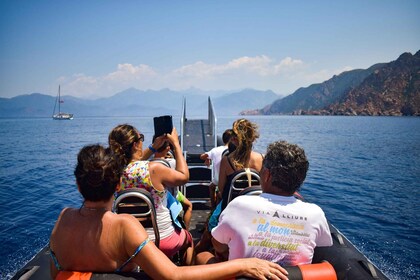 Porto: Scandola and Calanches of Piana Boat Trip