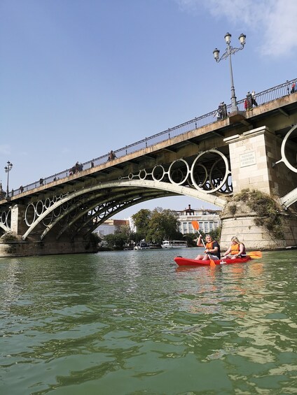 Picture 14 for Activity Seville: Guadalquivir River Kayaking Trip