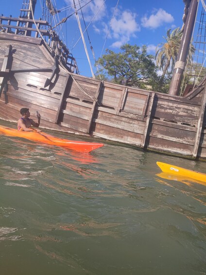 Picture 17 for Activity Seville: Guadalquivir River Kayaking Trip