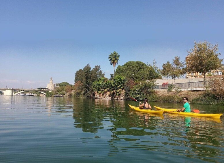 Picture 7 for Activity Seville: Kayak Rental