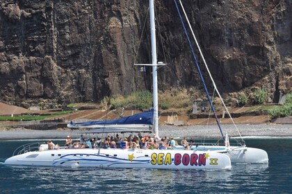 Funchal : Croisière catamaran d’observation des dauphins et des baleines