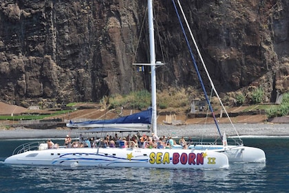 Funchal: Dolfijnen en walvissen kijken Catamaran Cruise