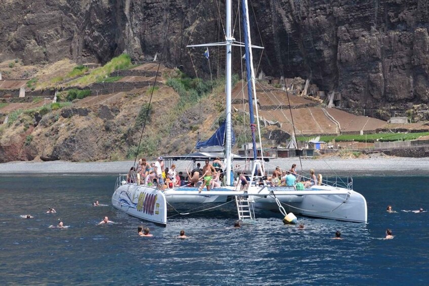 Picture 3 for Activity Funchal: Dolphin and Whale Watching Catamaran Cruise