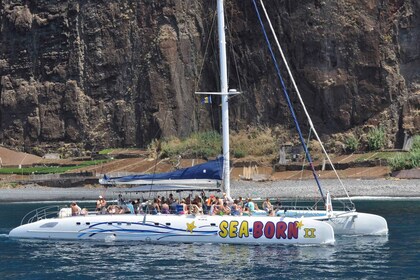 Funchal: Crucero en catamarán para avistar delfines y ballenas