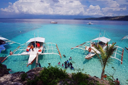 Cebu: Private Insel Sumilon und optionales Schwimmen mit Walhaien