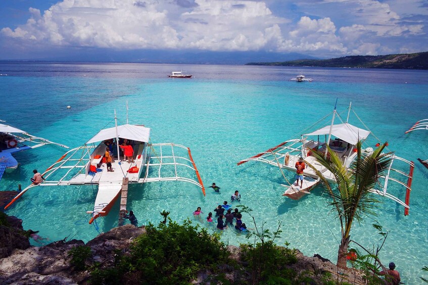 Cebu: Private Sumilon Island & Optional Whale Shark Swim