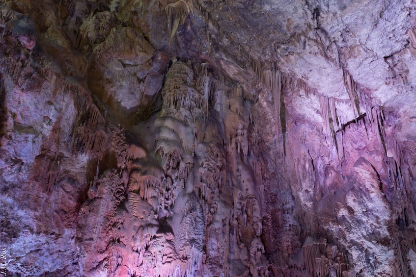 Picture 5 for Activity Alicante: Canelobre Caves Tour with Transport