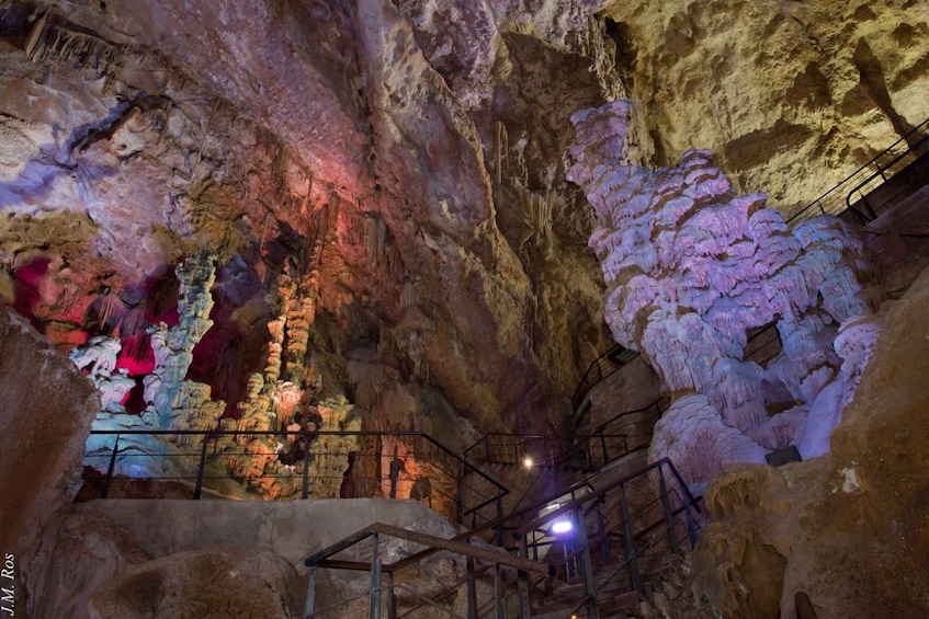 Picture 3 for Activity Alicante: Canelobre Caves Tour with Transport