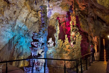 Alicante : Visite des grottes de Canelobre avec transport