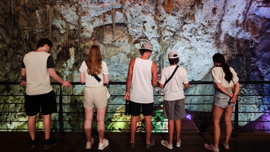 Picture 6 for Activity Alicante: Canelobre Caves Tour with Transport