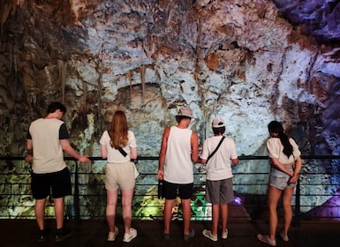 Alicante: Canelobre Caves & Busot Tour with Local Guide