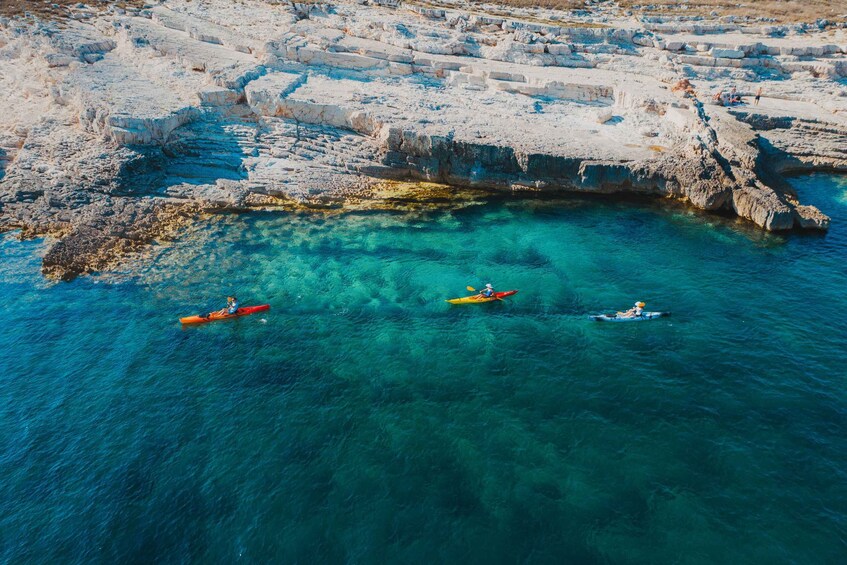 Picture 15 for Activity Cape Kamenjak: Kayak Tour with Cave Experience