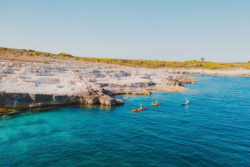 Picture 3 for Activity Cape Kamenjak: Kayak Tour with Cave Experience