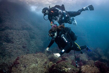 L'Estartit: Dive and Snorkelling in Montgrí Natural Park