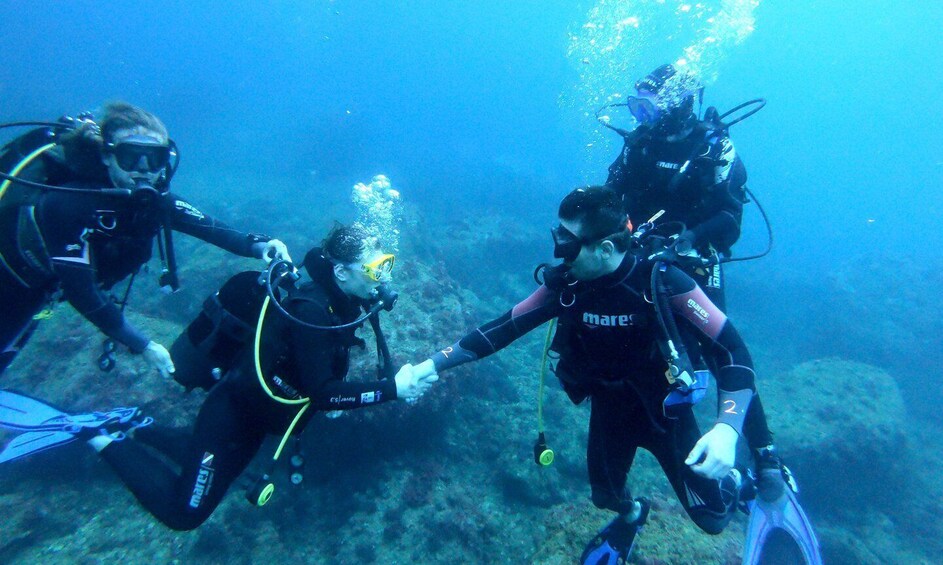 Picture 5 for Activity L'Estartit: Dive and Snorkeling in Montgrí Natural Park