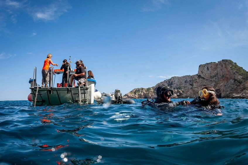 Picture 1 for Activity L'Estartit: Dive and Snorkeling in Montgrí Natural Park