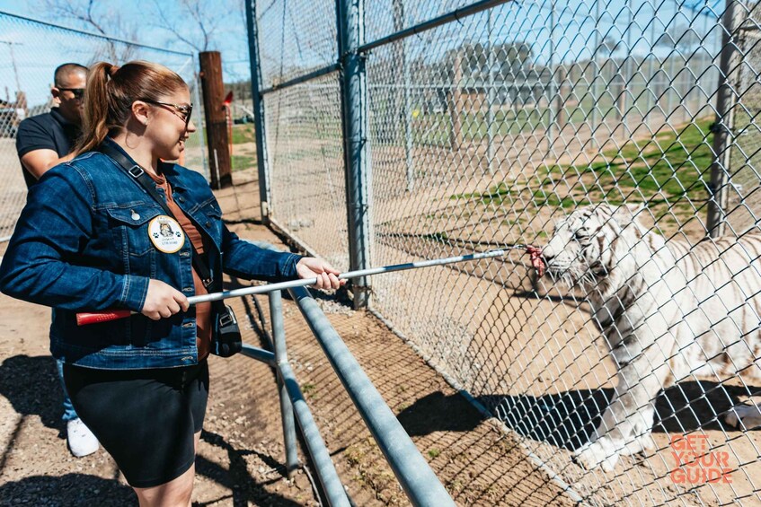 Alpine: Lions Tigers & Bears Sanctuary Visit and Feeding