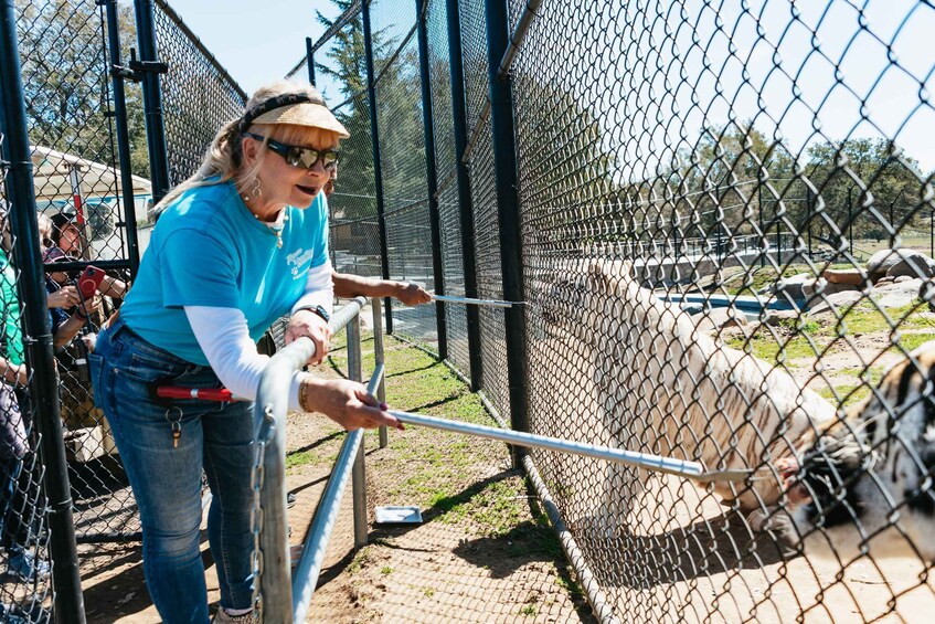 Picture 10 for Activity Alpine: Lions Tigers & Bears Sanctuary Visit and Feeding