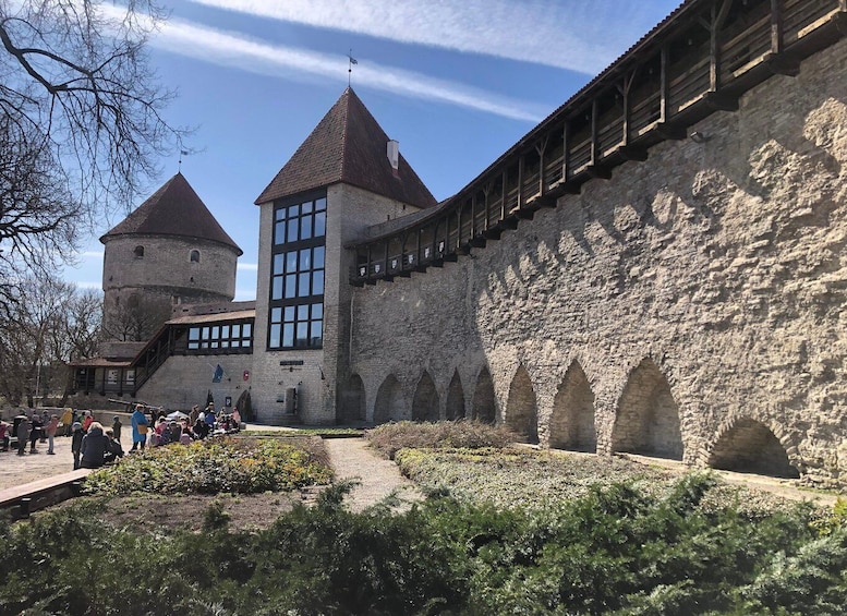 Picture 4 for Activity Tallinn: Medieval Walking Tour