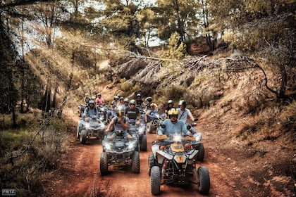 Benidorm: Tour in quad nella giungla o alle cascate di Algar