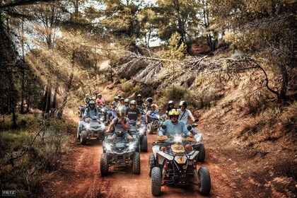 Benidorm: Dschungel oder Algar Wasserfälle Quad Tour