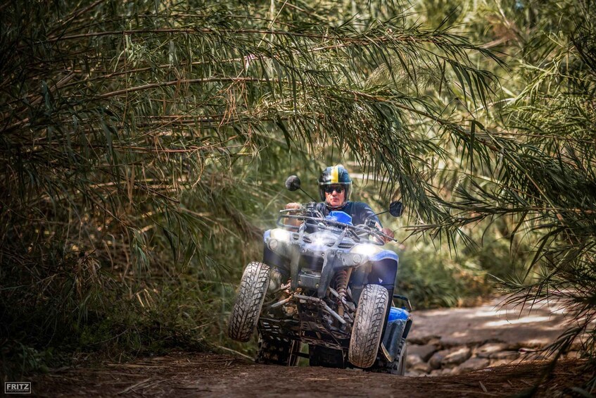 Picture 3 for Activity Benidorm: Jungle or Algar Waterfalls Quad Tour