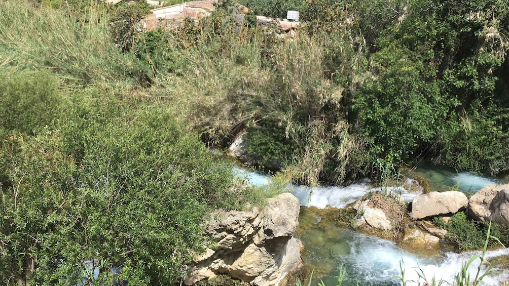 Picture 6 for Activity Benidorm: Jungle or Algar Waterfalls Quad Tour