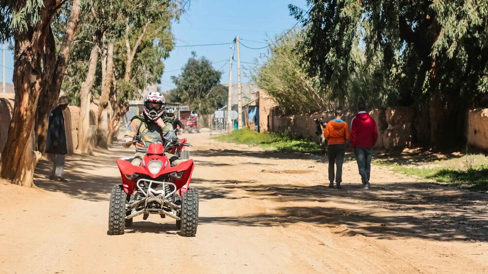 Picture 3 for Activity Marrakech Quad Bike Experience: Desert and Palmeraie