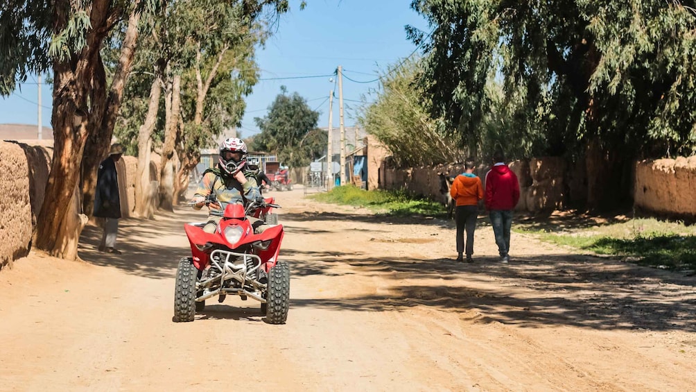 Picture 3 for Activity Marrakech Quad Bike Experience: Desert and Palmeraie