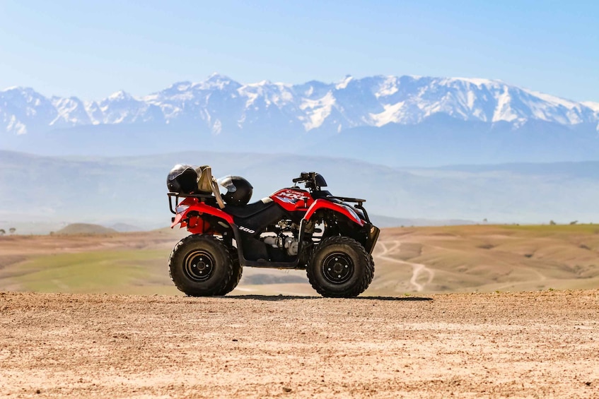 Picture 5 for Activity Marrakech Quad Bike Experience: Desert and Palmeraie