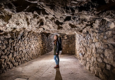 Budapest : Grotte du château de Buda excursion