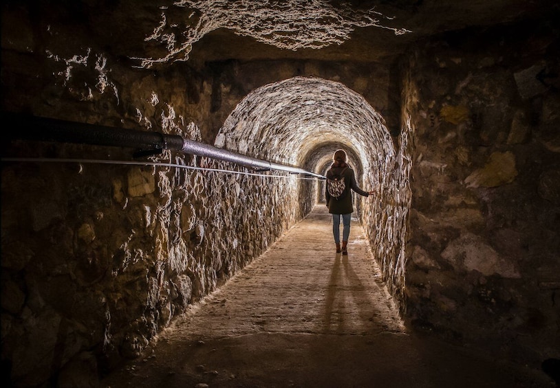 Picture 4 for Activity Budapest: Buda Castle Cave Walking Tour