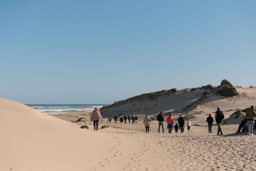 Picture 5 for Activity From Goolwa: Half-Day Coorong Experience