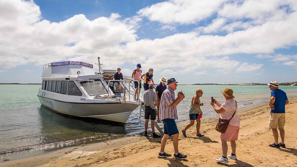 Picture 1 for Activity From Goolwa: Half-Day Coorong Experience