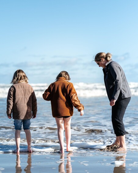 Picture 4 for Activity From Goolwa: Half-Day Coorong Experience