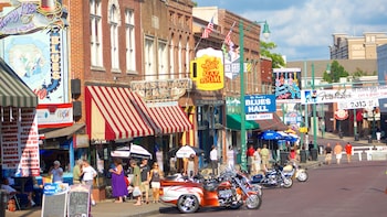 Guided Memphis City Tour