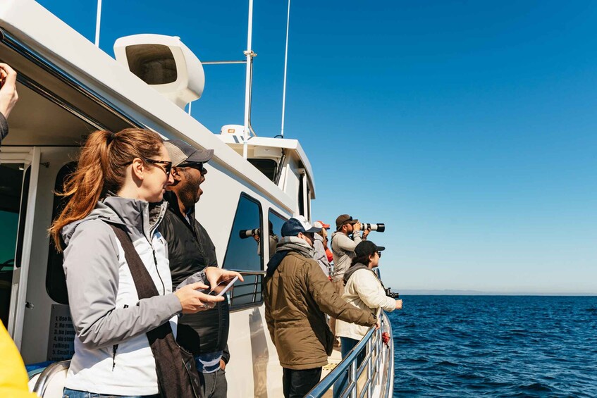 Picture 1 for Activity Monterey Bay: Whale Watching Tour