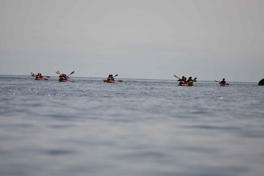 Picture 10 for Activity Dubrovnik: 3-Hour Sunset Sea Kayaking Tour