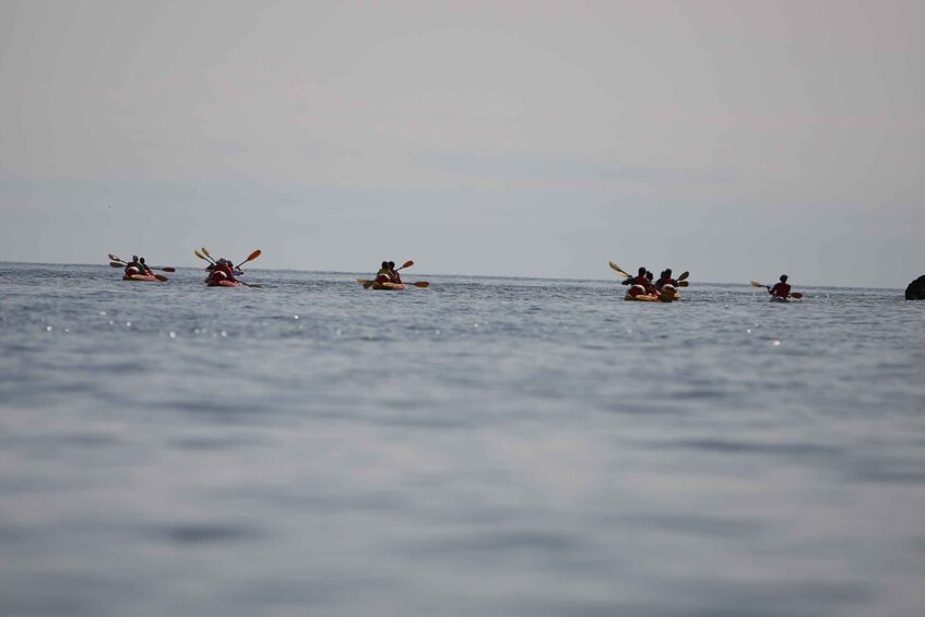 Picture 7 for Activity Dubrovnik: Sea Kayaking Morning, Daytime, or Sunset Tours