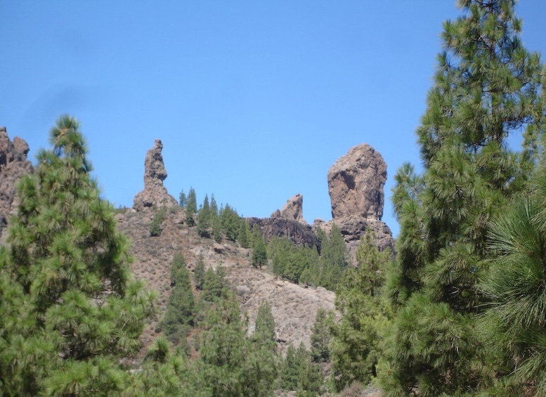 From Palmas: Pico de las Nieves & Roque Nublo Full-Day Trip