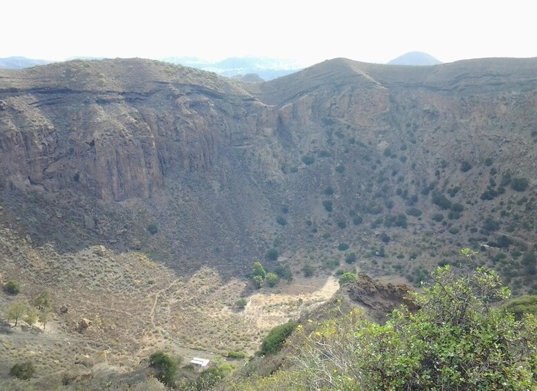 Picture 8 for Activity From Palmas: Pico de las Nieves & Roque Nublo Full-Day Trip
