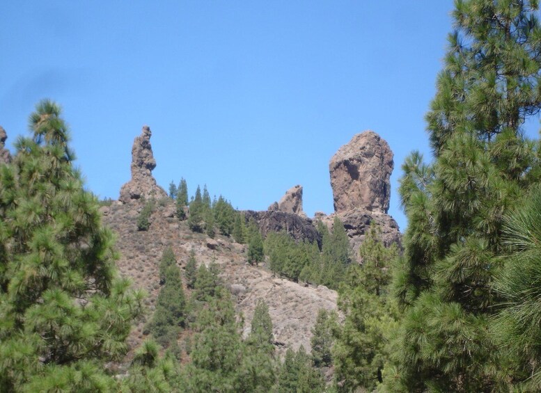 From Palmas: Pico de las Nieves & Roque Nublo Full-Day Trip