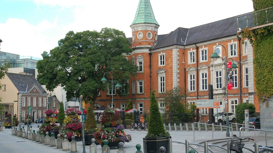 Cork: Guided Historical Walking Tour