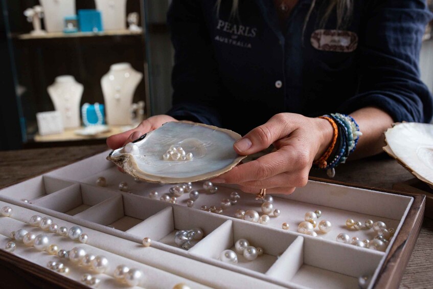 Picture 6 for Activity Shell to Showroom - Sydney's only Pearl Farm Experience