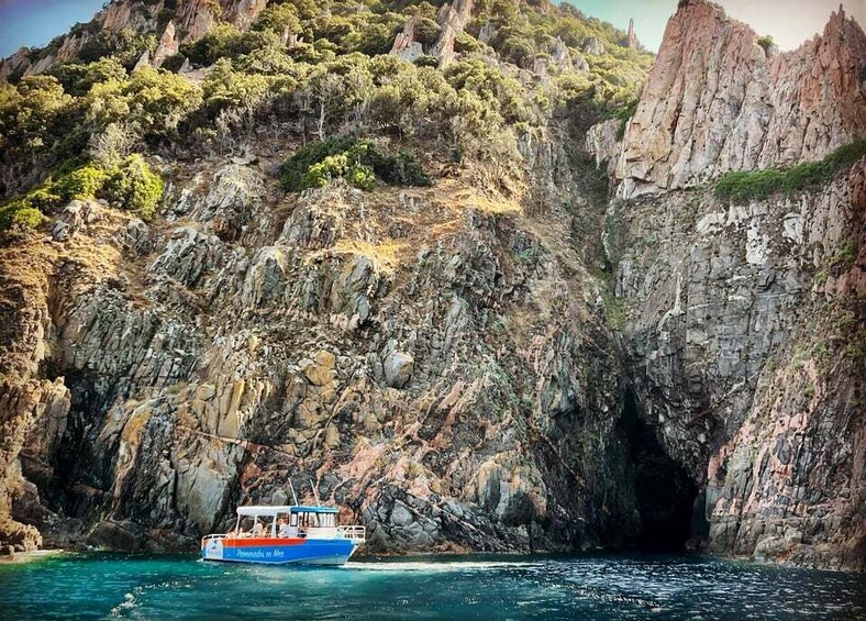 Picture 5 for Activity Near Ajaccio : Cruise to Piana Scandola cliff tasting sunset